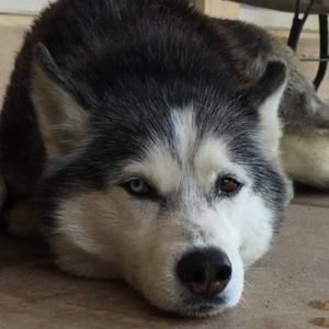 Meet your Posher, Jose